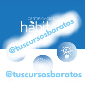 Certificación Hábitos – Instituto Hábitos