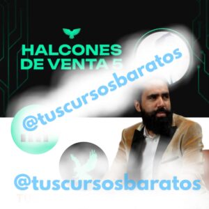 Halcones de Venta 5 – Instituto 11
