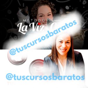 Método LaVizCat de Yeni Vizcaíno