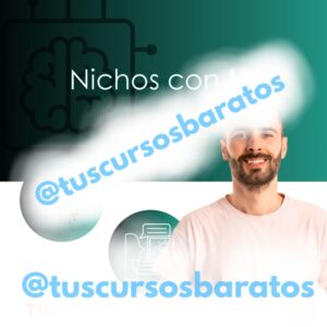 Nichos con IA de Daniel Llamazares
