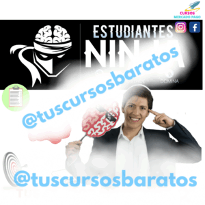 PROGRAMA ESTUDIANTES NINJA PABLO LOMELI