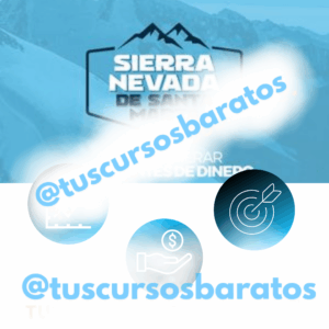 Curso – Cómo generar excedentes de dinero