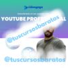 VideoGaga – YouTube Professional