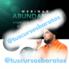 Webinar Abundancia – Rompe el bloqueo economico – Ricardo Ponce