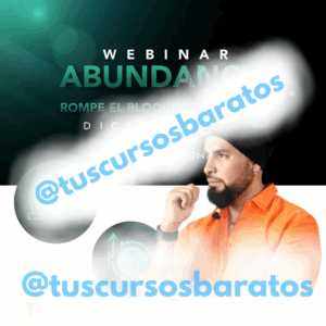 Webinar Abundancia – Rompe el bloqueo economico – Ricardo Ponce
